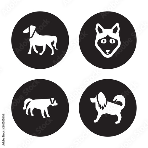 4 vector icon set : Irish Setter dog, Hovawart Husky Havanese dog isolated on black background