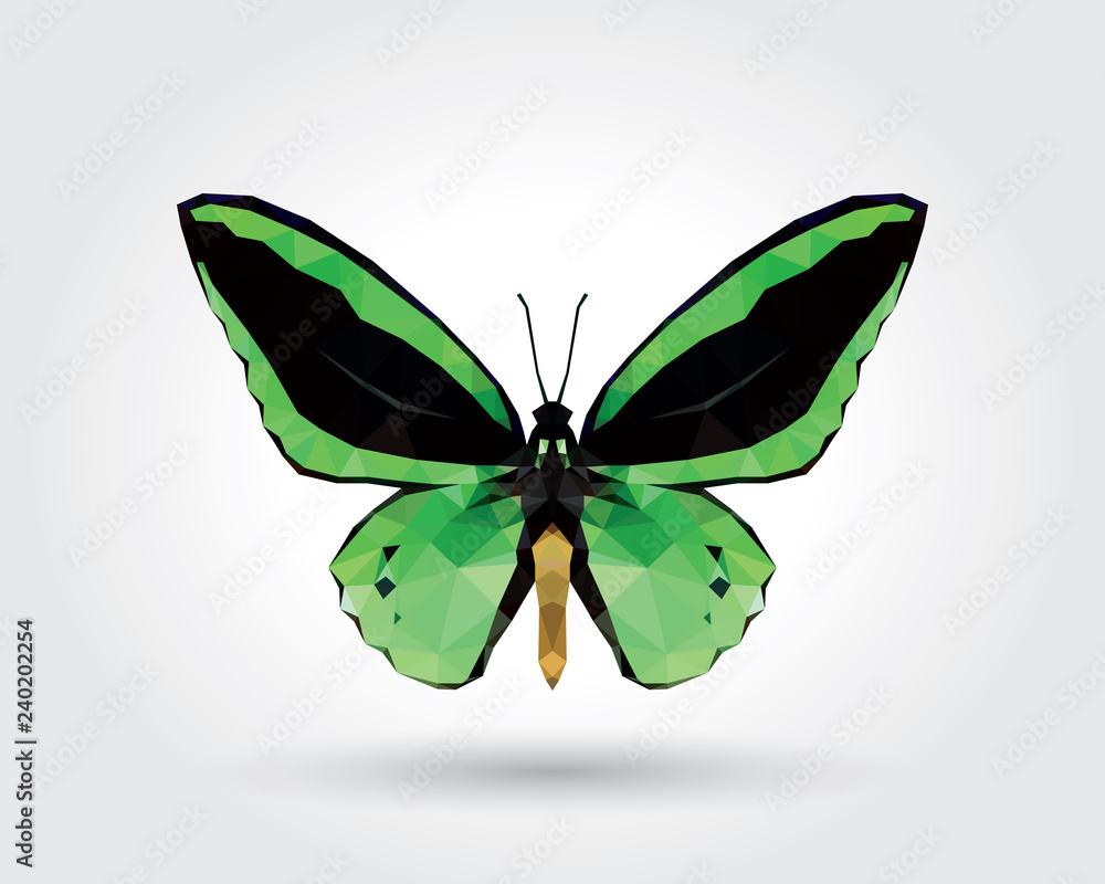 Low polygon butterfly green wings black stripe isolated on white background, fresh verdant insects flying. Logo icon geometric. Bug polygonal crystal style. Low polygon butterfly green wings black stripe isolated on white background, fresh verdant insects flying. Logo icon geometric. Bug polygonal crystal style.
