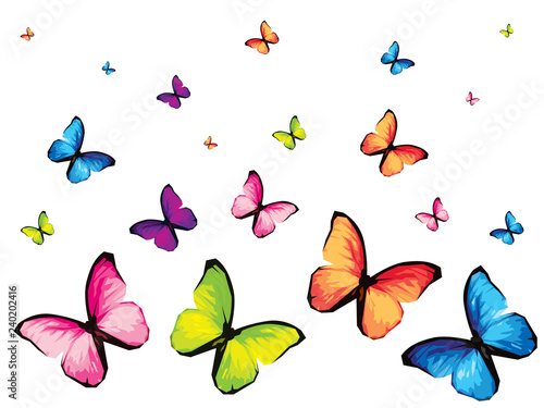 Photography Set of six colorful butterfly isolated on white background, yellow green blue red pink wings insects flying