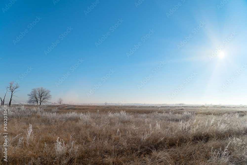 The sun over Meadows, bushes and trees covered with frost The sun over Meadows, bushes and trees covered with frost