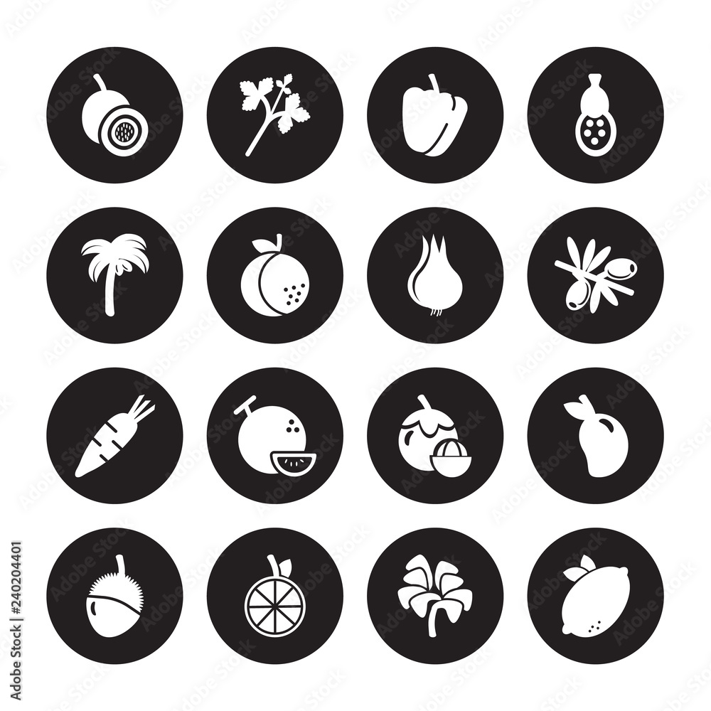 16 vector icon set : Passion fruit, Lettuce, Lime, Lychee, Mango, Lemon, Palm, Melon, Onion isolated on black background