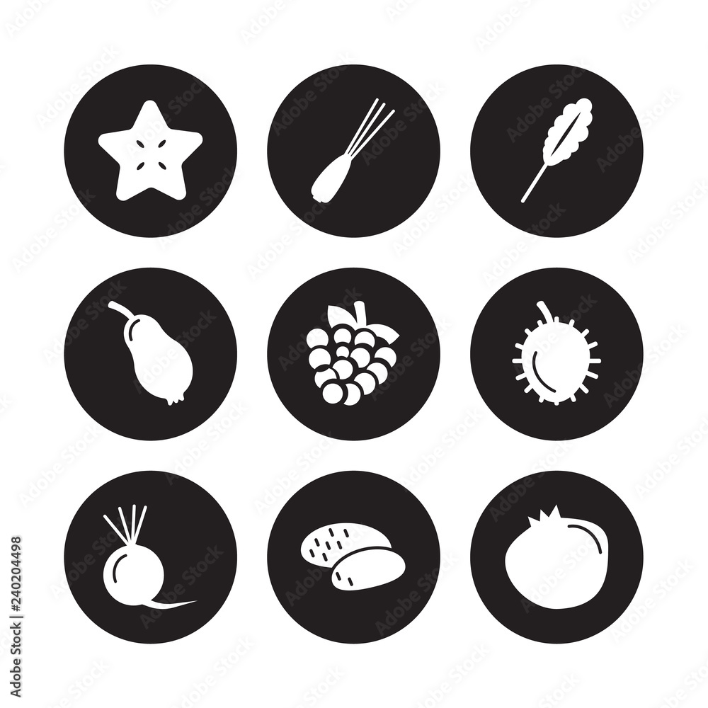 9 vector icon set : Star fruit, Spring onion, Radish, Rambutan, Raspberry, Spinach, Rose apple, Potato isolated on black background 9 vector icon set : Star fruit, Spring onion, Radish, Rambutan, Raspberry, Spinach, Rose apple, Potato isolated on black background