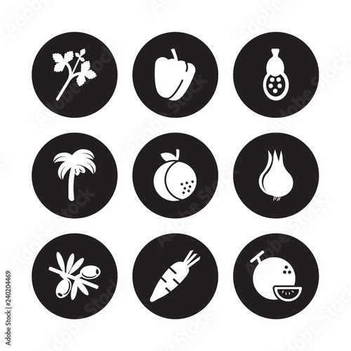 9 vector icon set : Parsley, Paprika, Olive, Onion, Orange, Papaya, Palm, Melon isolated on black background