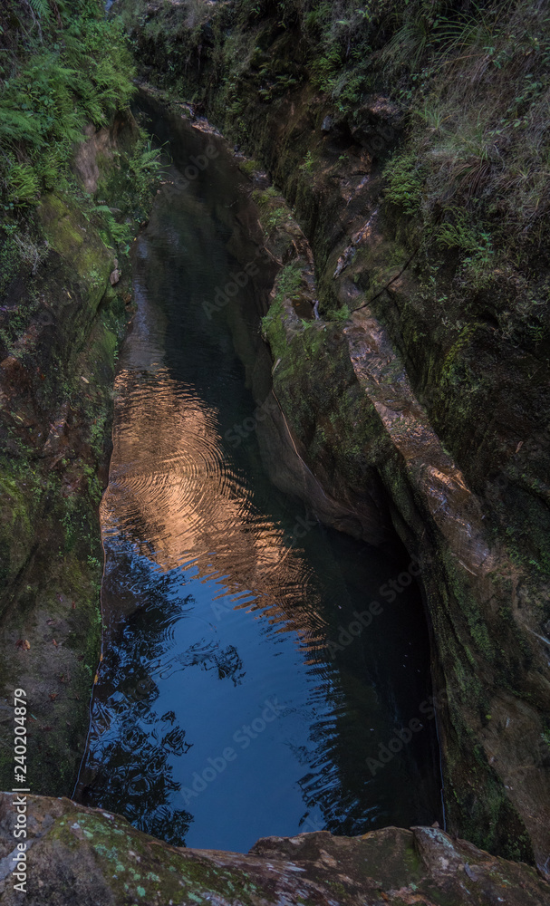 Isalo Canyon Oasis