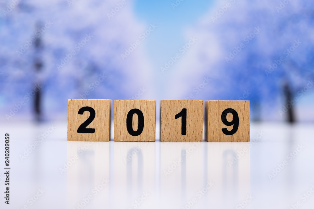 wooden block number 2019. Image use for background happy new year, business concept. wooden block number 2019. Image use for background happy new year, business concept.