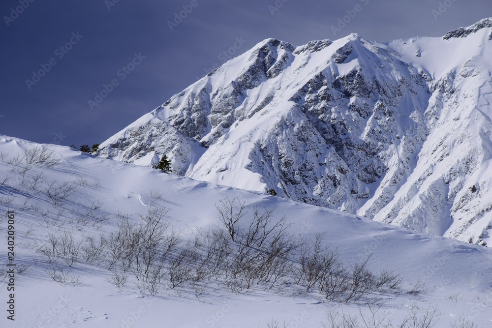 Hakuba Hakuba