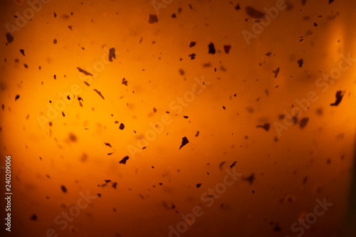 Photography Glassy teapot with pieces of tea leaves with the homey background