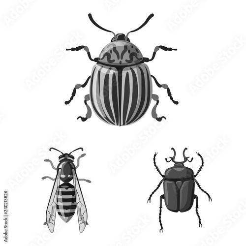 Vector design of insect and fly symbol. Collection of insect and element stock symbol for web.