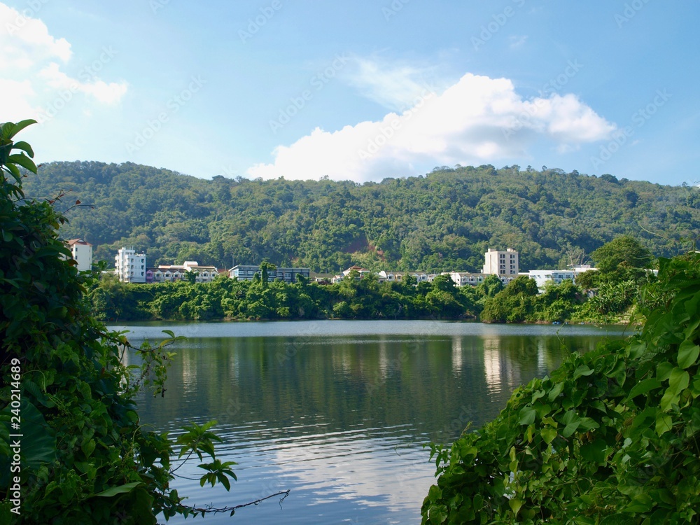 Houses on the hillside on the background of the park and the lake. Buildings of small coastal town reflect in the expanse of water surrounded by beautiful green foliage. Landscape of pond and hill 