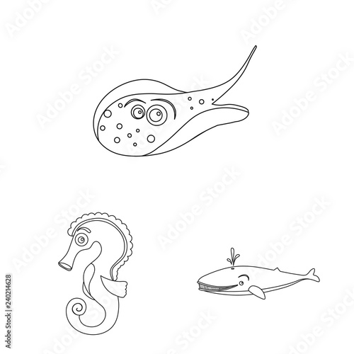 Isolated object of sea and animal icon. Set of sea and marine stock symbol for web.