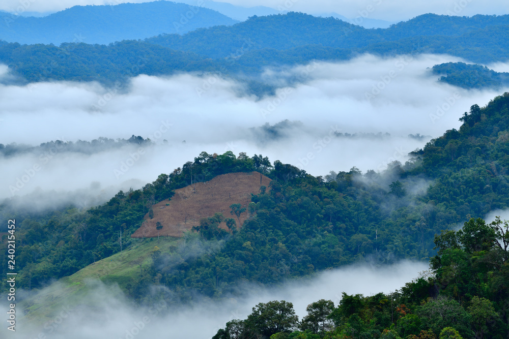 Morning landscape with mountains and mist at Doi Hua Mod, Umphan district, Tak, Thailand. Nature landscape view with mist.