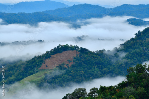 Morning landscape with mountains and mist at Doi Hua Mod  Umphan district  Tak  Thailand. Nature landscape view with mist.