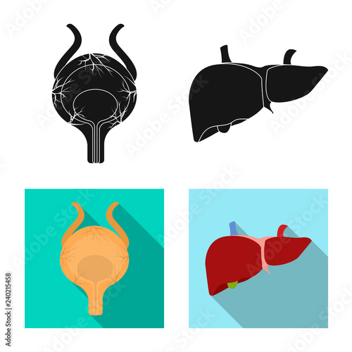 Vector design of body and human icon. Set of body and medical stock vector illustration.