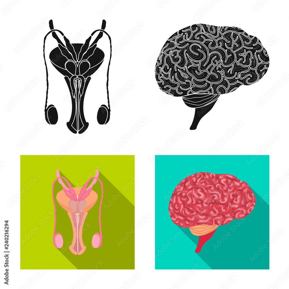 Vector design of body and human symbol. Set of body and medical vector icon for stock. Vector design of body and human symbol. Set of body and medical vector icon for stock.