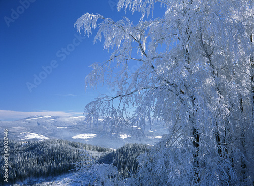 Fototapeta Naklejka Na Ścianę i Meble -  view to Skrzyczne Mountain and surroundings from Wisla Town, Slaski Beskid Mountains, Silesian region, Poland