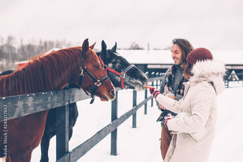 Teen girl and her father feeding horses on the ranch - obrazy, fototapety, plakaty 