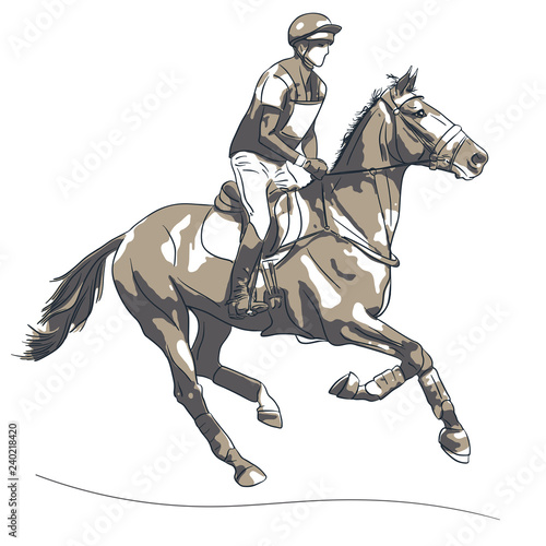 Equestrian, eventing, cross-country. Rider galloping on a horse.