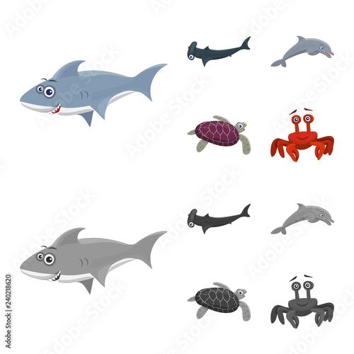 Fototapeta Naklejka Na Ścianę i Meble -  Vector illustration of sea and animal sign. Set of sea and marine stock symbol for web.