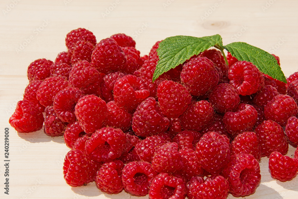 Frisch geerntete Himbeeren, Rubus idaeus Frisch geerntete Himbeeren, Rubus idaeus