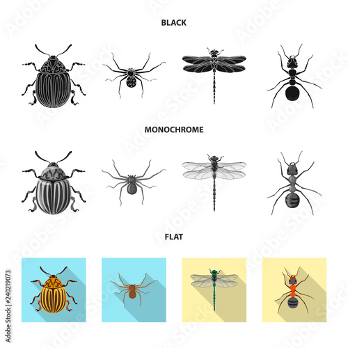 Isolated object of insect and fly sign. Collection of insect and element vector icon for stock. © Svitlana