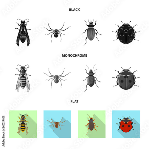 Isolated object of insect and fly symbol. Collection of insect and element stock symbol for web.