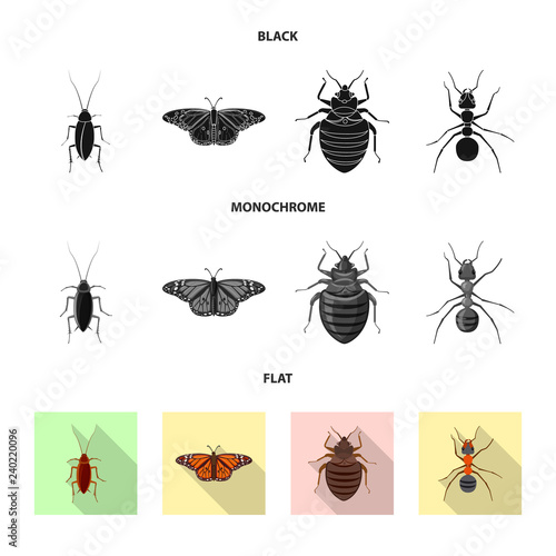 Isolated object of insect and fly sign. Collection of insect and element stock vector illustration. © Svitlana