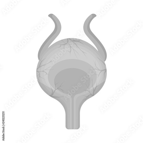 Vector illustration of body and human icon. Set of body and medical vector icon for stock.