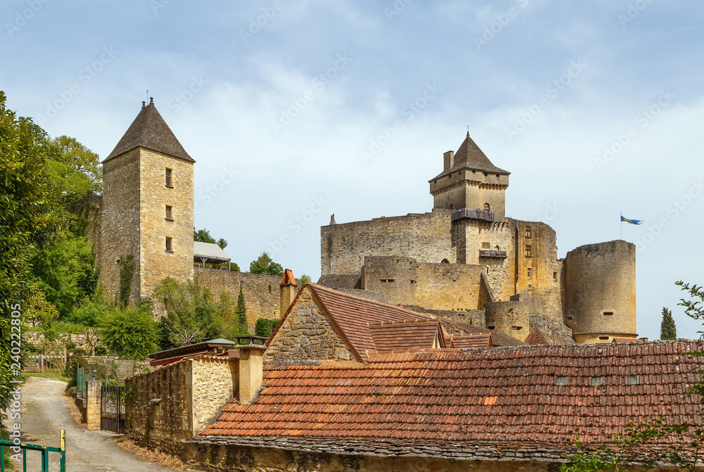 Chateau de Castelnaud, France