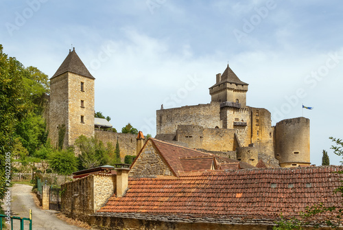 Chateau de Castelnaud, France