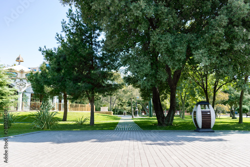 Daytime park with green trees and plants and lawns in the daytime