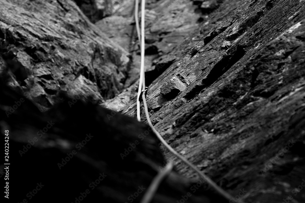 Black and white of climbing rope and carabiner (karabiner) on rock climbing in the Lake District, Cumbria Black and white of climbing rope and carabiner (karabiner) on rock climbing in the Lake District, Cumbria
