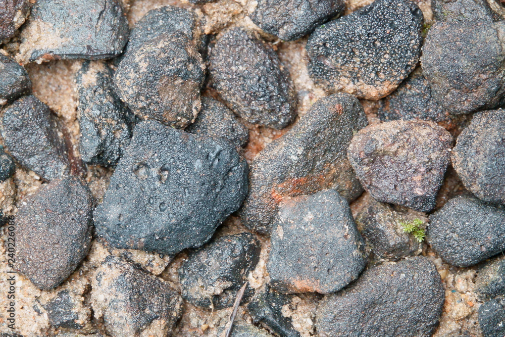 black stone on wet sand