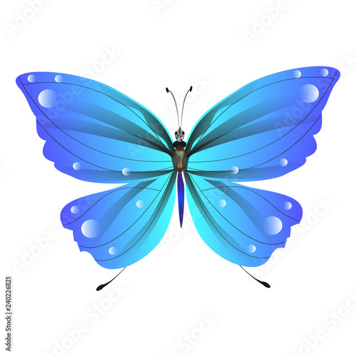 Wallpaper Mural 1952 Torontodigital.ca