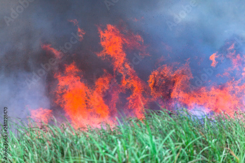 Wallpaper Mural Fire Flames Crops Farm Torontodigital.ca