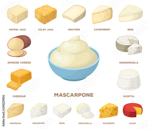 Different kind of cheese cartoon icons in set collection for design.Milk product cheese vector symbol stock web illustration.