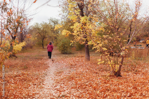 The woman walks in the autumn park © Arsentyev Vladimir