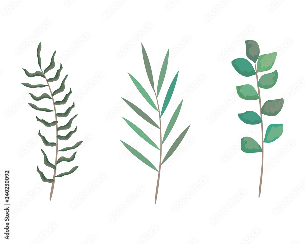 branch with leafs set styles icons branch with leafs set styles icons