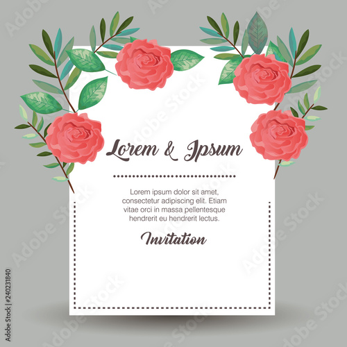 card with beautiful rosebush