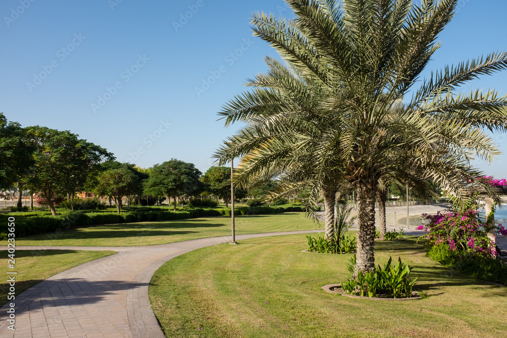 Paved pathway and palm trees in Al Barsha Pond Park, Dubai, United Arab Emirates