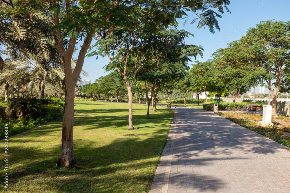 Shady paved paths in Al Barsha Pond Park, Dubai, United Arab Emirates