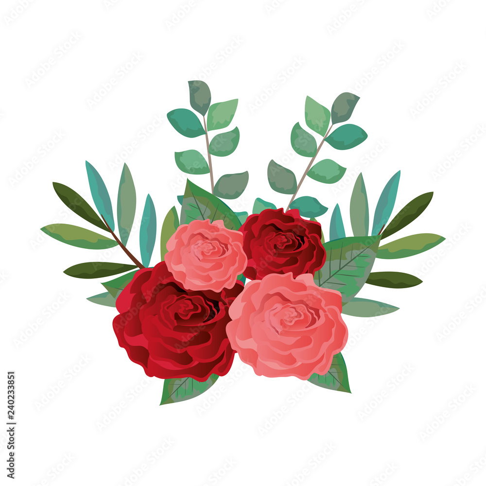 Fototapeta piękna ikona dekoracji krzewów różanych