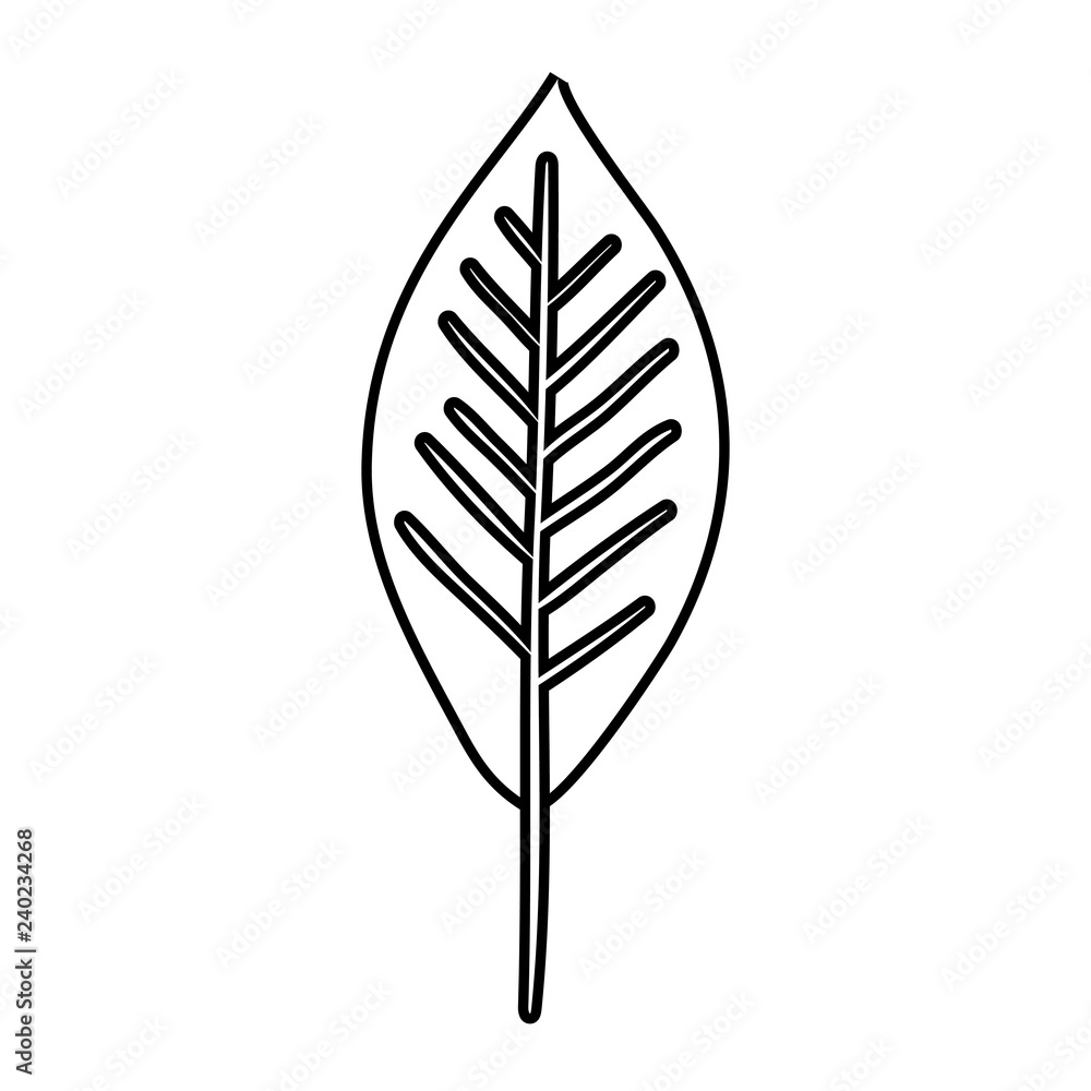 ecology leaf plant icon ecology leaf plant icon
