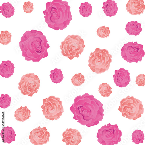 beauty roses pattern background