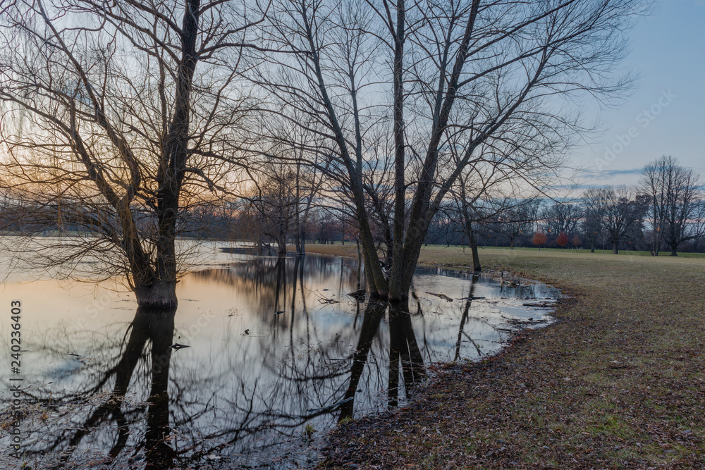 Reflection of trees in the lake after sunset