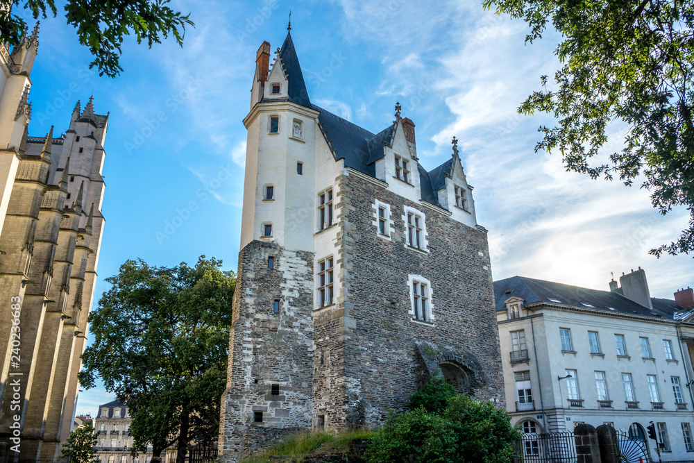 Fototapeta premium Porte Saint Pierre, Nantes