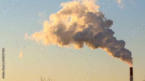Smoke from industrial chimneys against the blue sky. Pollution. photo