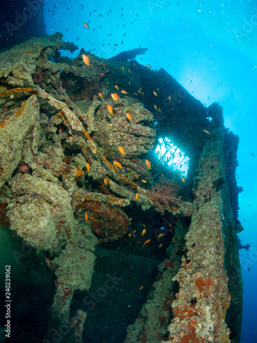sunken ship with under the sea