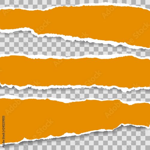 Ripped blank horizontal note paper strips for text or message stuck on transparent background.