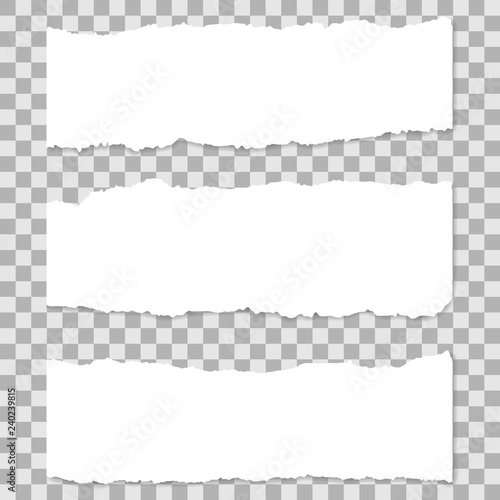 Ripped blank horizontal note paper strips for text or message stuck on transparent background.