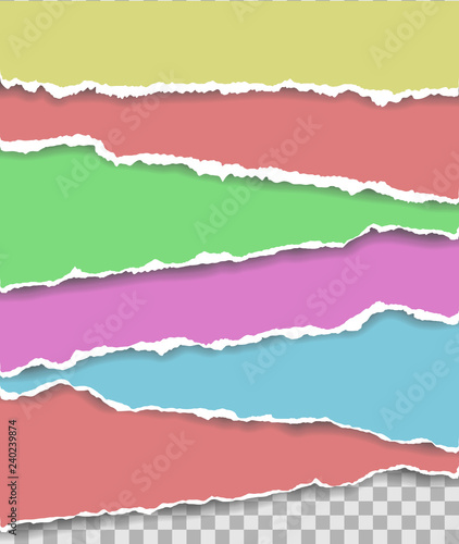 Vector torn paper. Collection of colored pieces of torn paper with ripped edges, torn cardboard